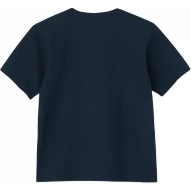 Champion T