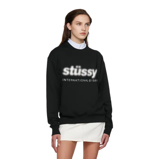 Stussy FW23 BLUR CREW