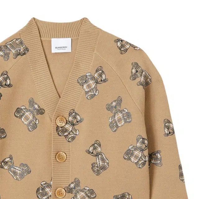 Burberry FW22 V