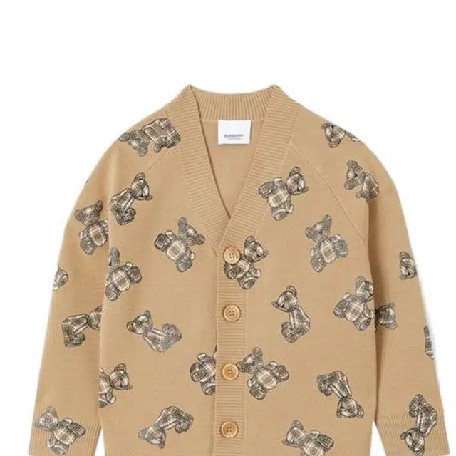 Burberry FW22 V