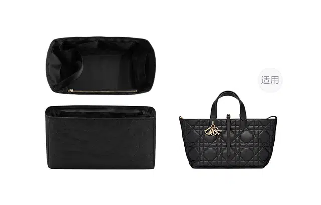 dior toujours