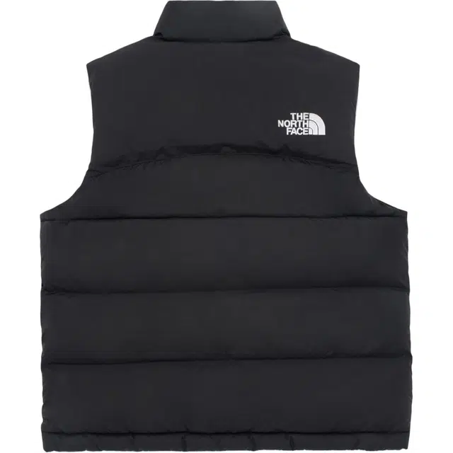 THE NORTH FACE PUFFY EX ON BALL