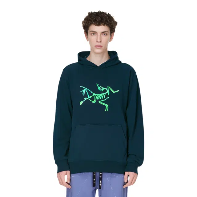 Arcteryx x PALACE Logo