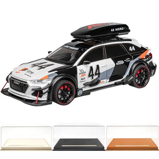 TY MODELS Aodi RS6 124