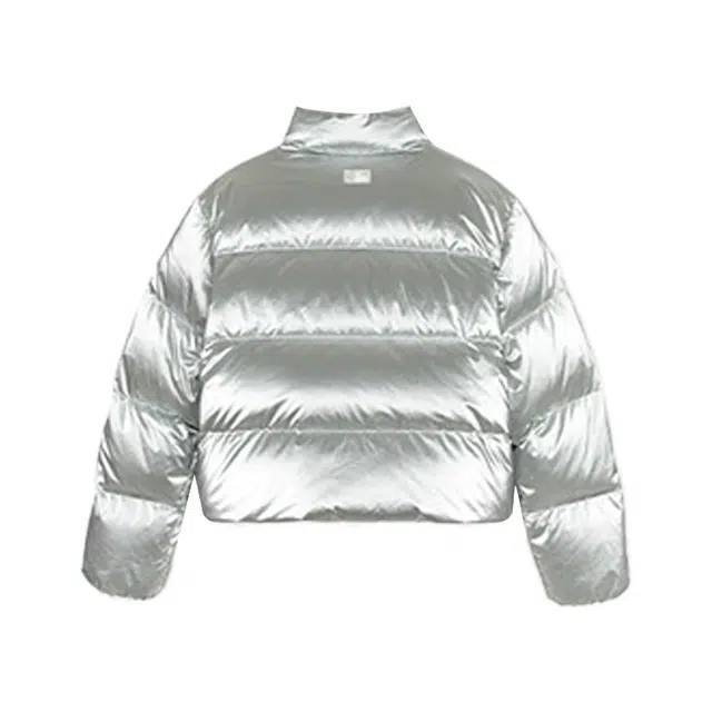 MLB New York Yankees Silver Jacket