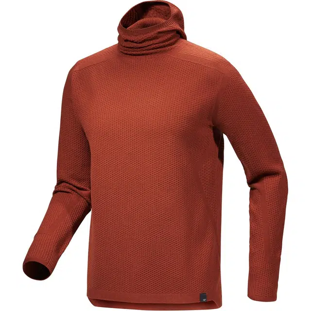 Arcteryx Hallam Merino Wool Hoody