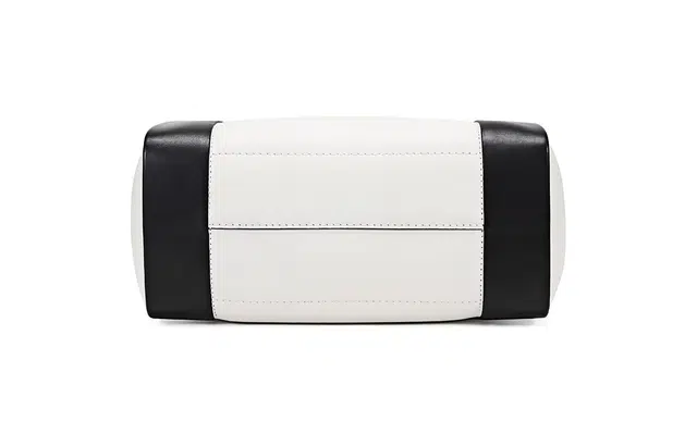 Alexander McQueen Tote