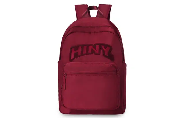 HINY Logo