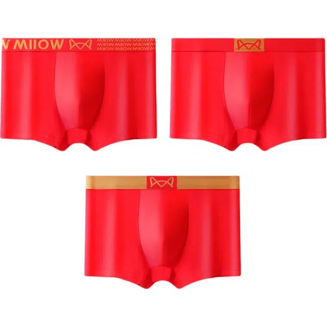 MIIOW 3