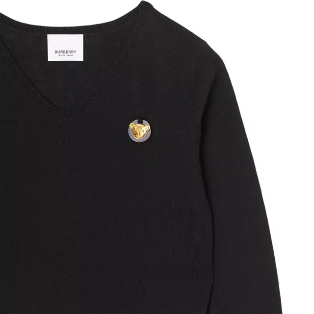 Burberry FW22 LogoV