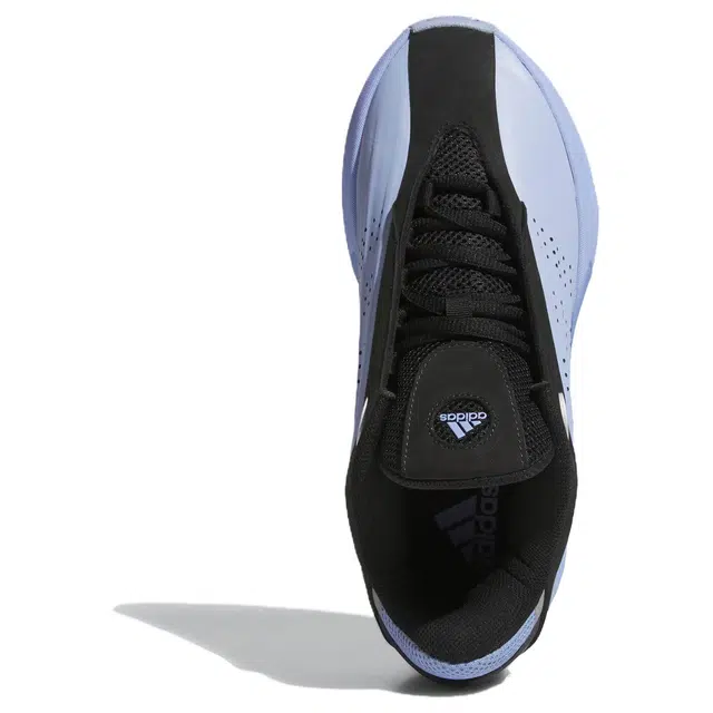 adidas originals CRAZY IIINFINITY 130