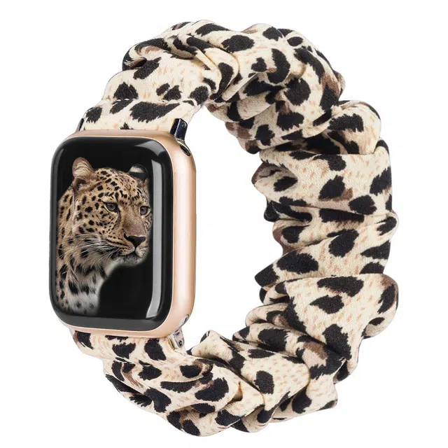 AOMN B-106 appleiwatchS8765