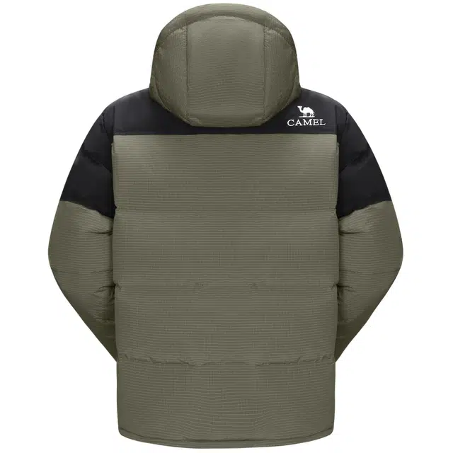 CAMEL 3A