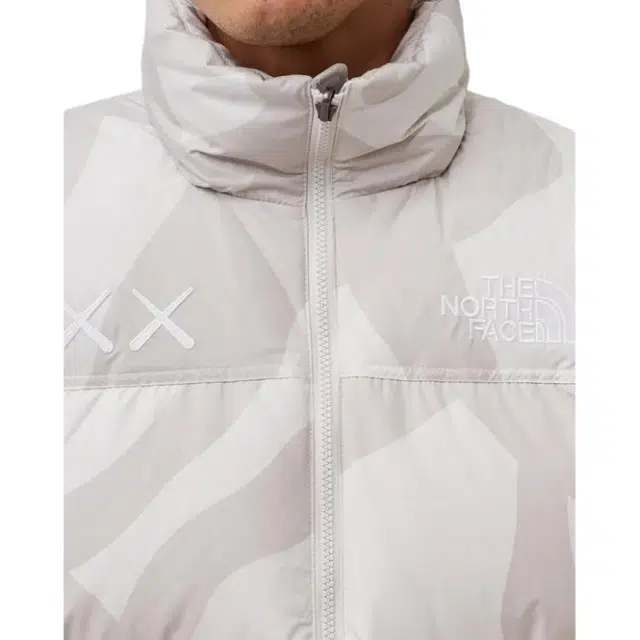 THE NORTH FACE TNF x KAWS FW22 logo