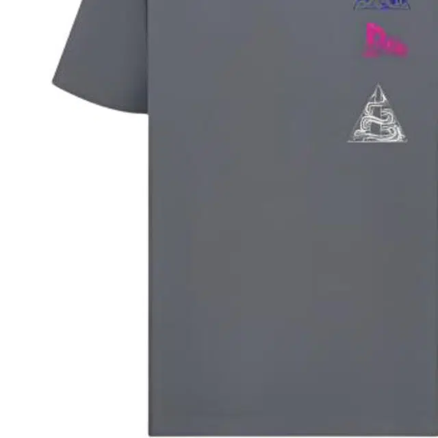 DIOR T