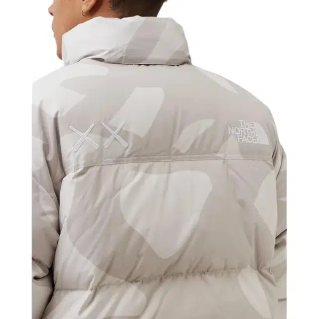 THE NORTH FACE TNF x KAWS FW22 logo