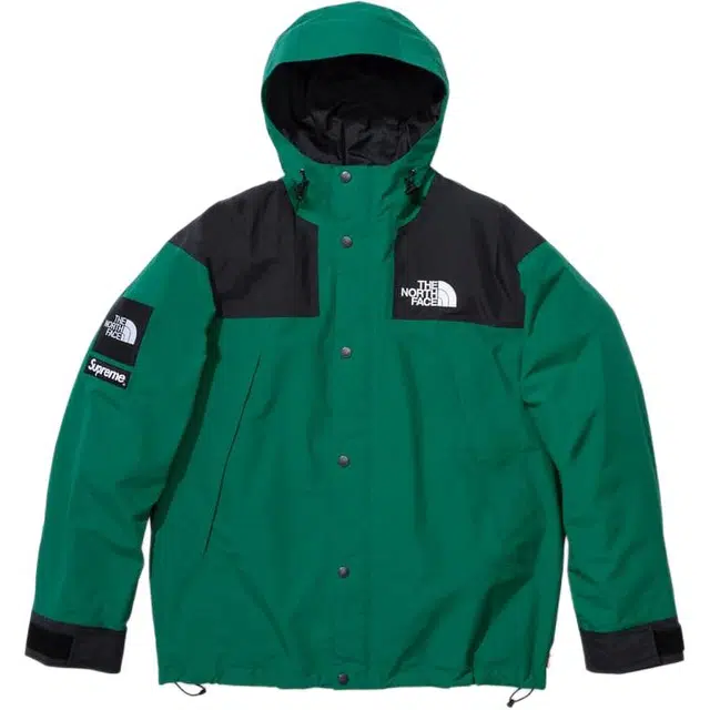 Supreme x THE NORTH FACE FW24 WEEK9 logo