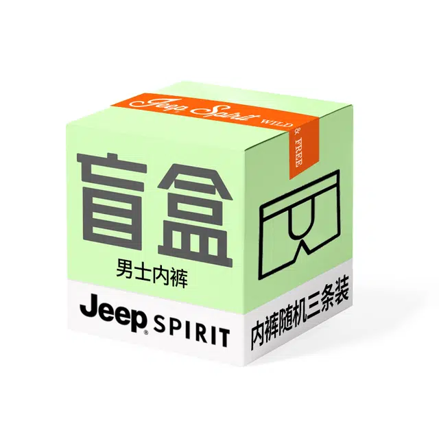 JEEP SPIRIT 1