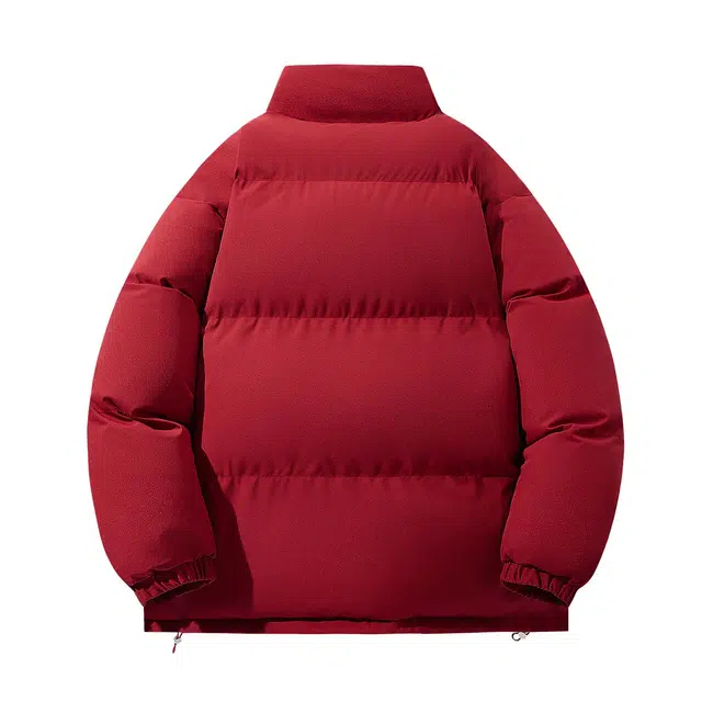 依文 简约高级感休闲百搭立领宽松面包服领口格纹中性风设计感无性别穿搭潮牌保暖廓形小众慵懒风棉服 男女同款