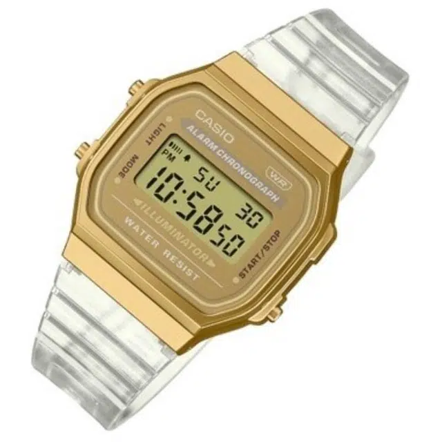 CASIO vantage A168XESG-9A