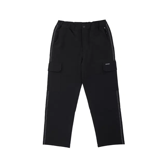 Dickies DK0A87FQBLK