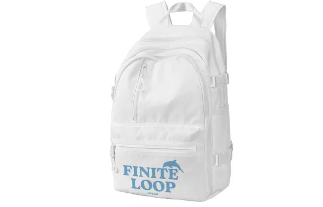 FINITE LOOP