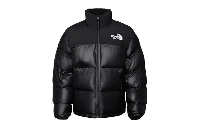 THE NORTH FACE Nuptse 811