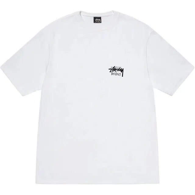 Stussy FW24 2024 T