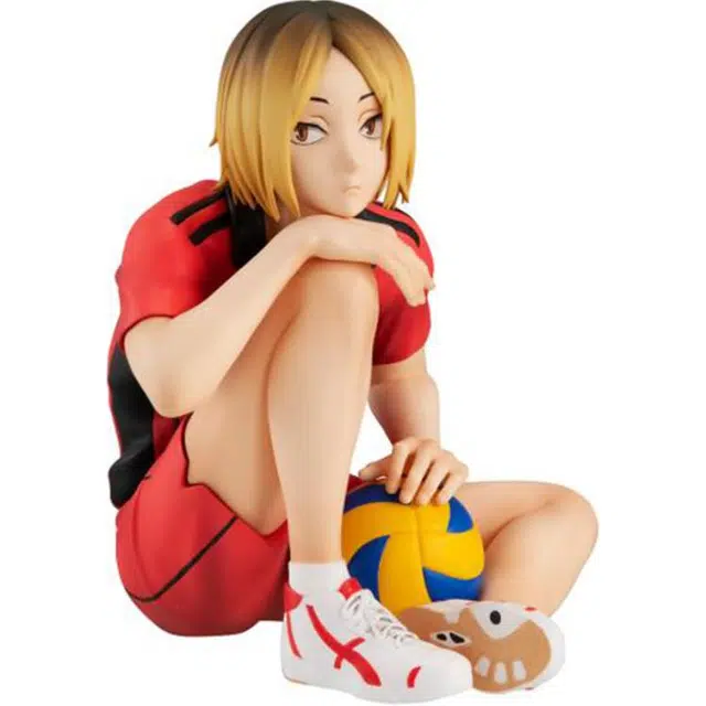 MegaHouse
