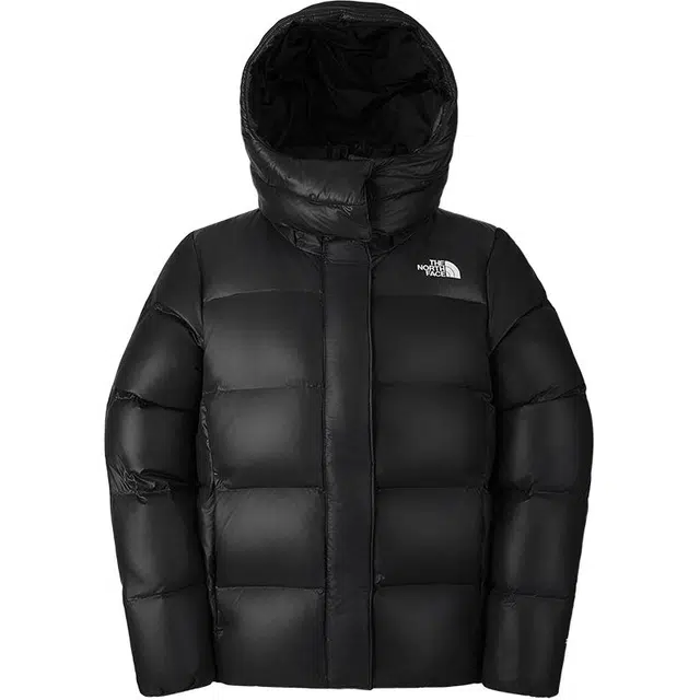 THE NORTH FACE Puffy