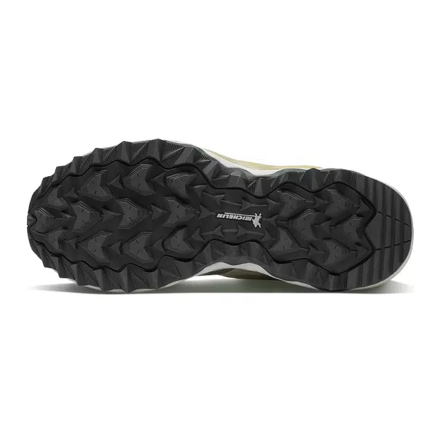 Mizuno Wave Mujin TL GTX