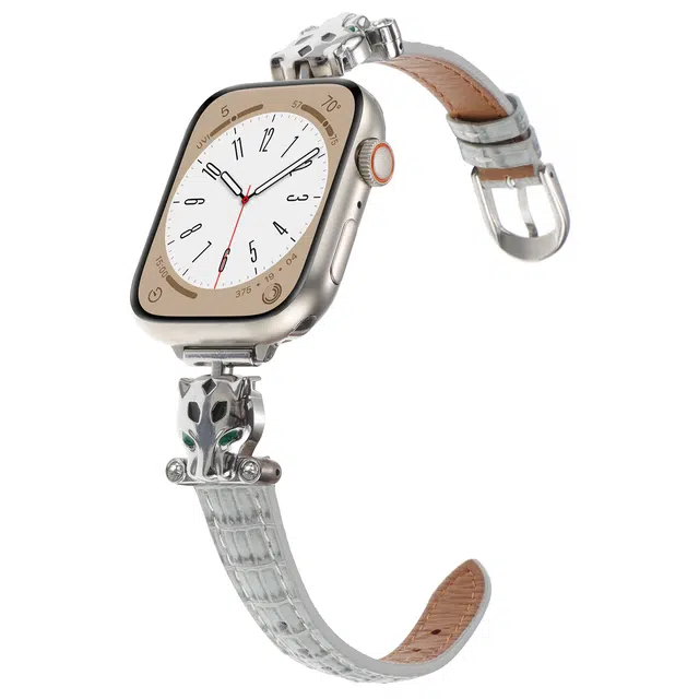 Applewatch S9S8SE76543