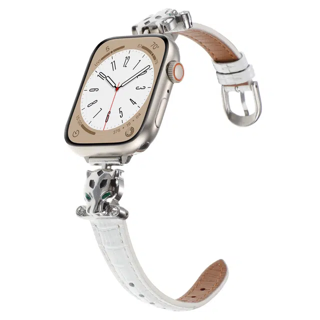 Applewatch S9S8SE76543