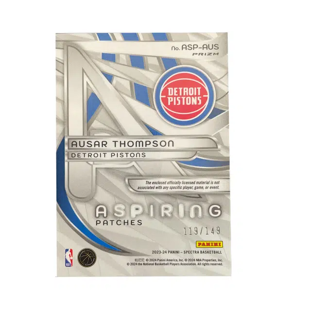 PANINI RC 119149 Patch