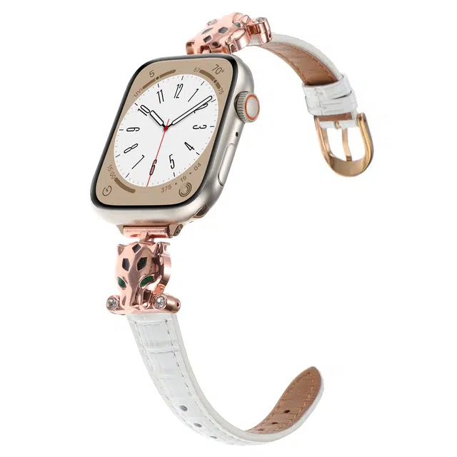 Applewatch S9S8SE76543