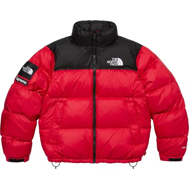 Supreme x THE NORTH FACE FW24 WEEK9 logo