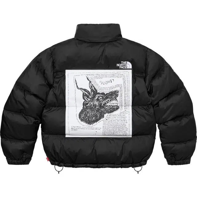 Supreme x THE NORTH FACE FW24 WEEK9 logo