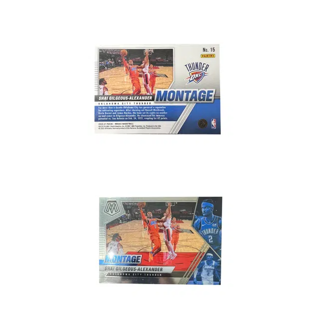 PANINI SGA