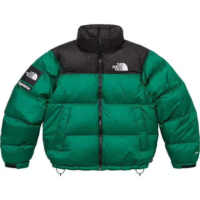 Supreme x THE NORTH FACE FW24 WEEK9 logo