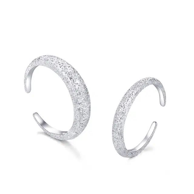 zoo jewel S925