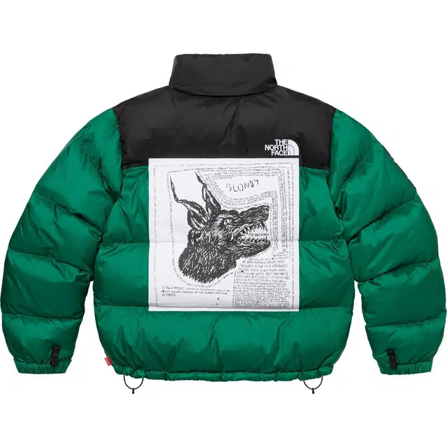 Supreme x THE NORTH FACE FW24 WEEK9 logo