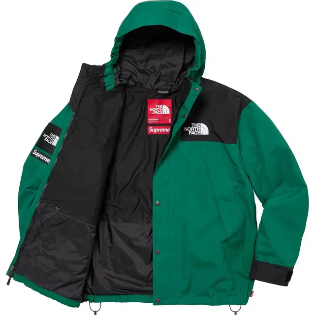Supreme x THE NORTH FACE FW24 WEEK9 logo