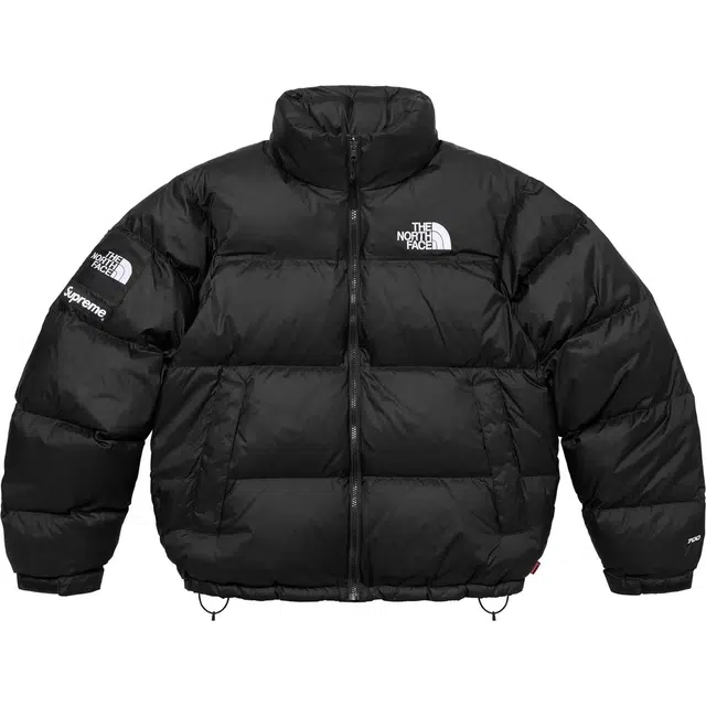 Supreme x THE NORTH FACE FW24 WEEK9 logo