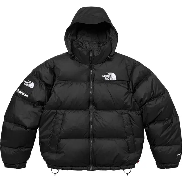 Supreme x THE NORTH FACE FW24 WEEK9 logo