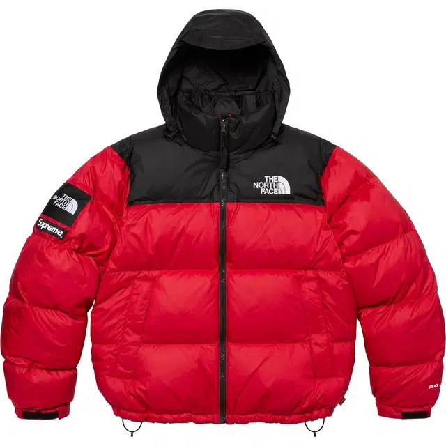 Supreme x THE NORTH FACE FW24 WEEK9 logo