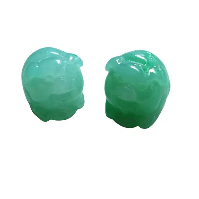 9.3g