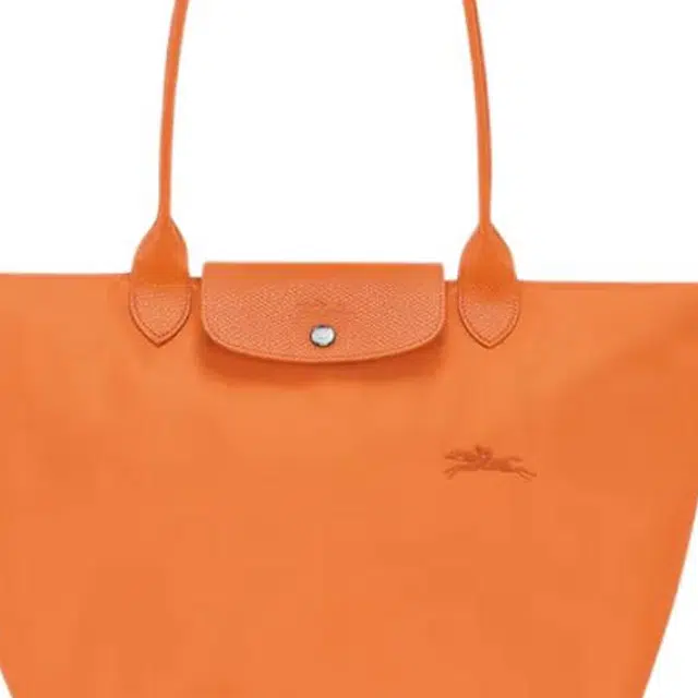 LONGCHAMP LE PLIAGE GREEN 31