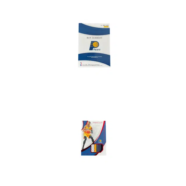 PANINI 2018-19 Immaculate 25 patch