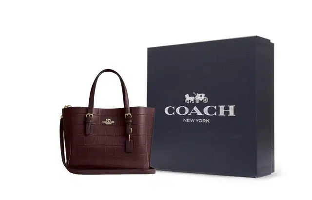COACH Mollie 25 Tote