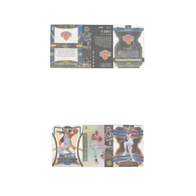 PANINI 2019-20 SELECT RC RJ 3